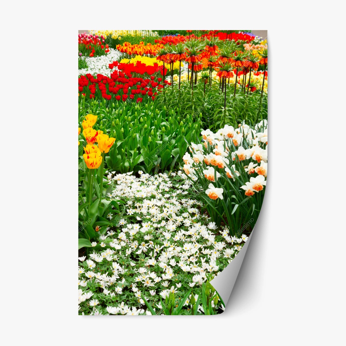 Repositionable sticker vibrant spring flower garden • Wallissimo®