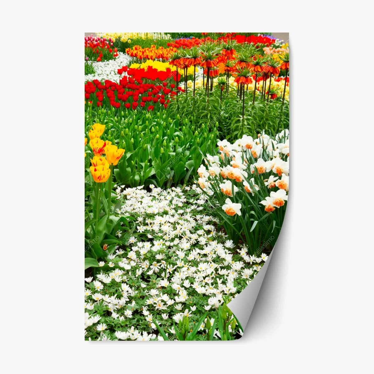 Repositionable sticker vibrant spring flower garden • Wallissimo® Repositionable sticker vibrant spring flower garden • Wallissimo®
