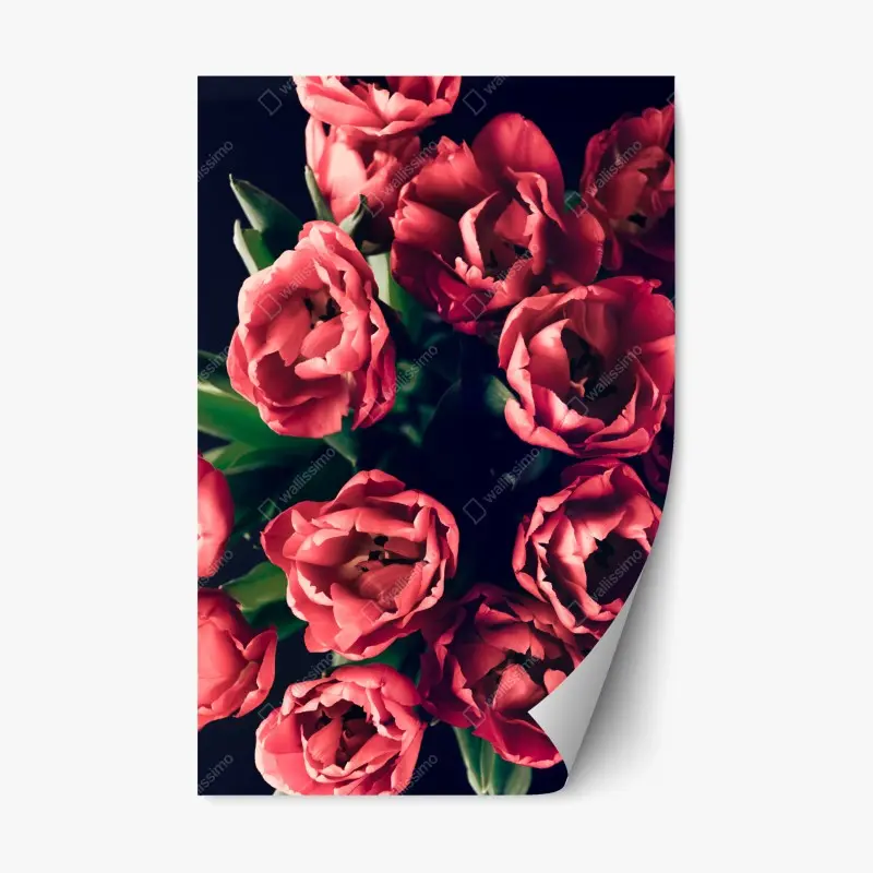 Repositionable sticker moody pink tulip bouquet