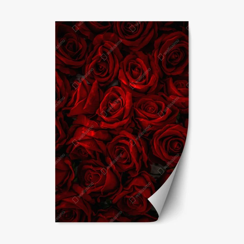 Repositionable sticker lush red roses close-up