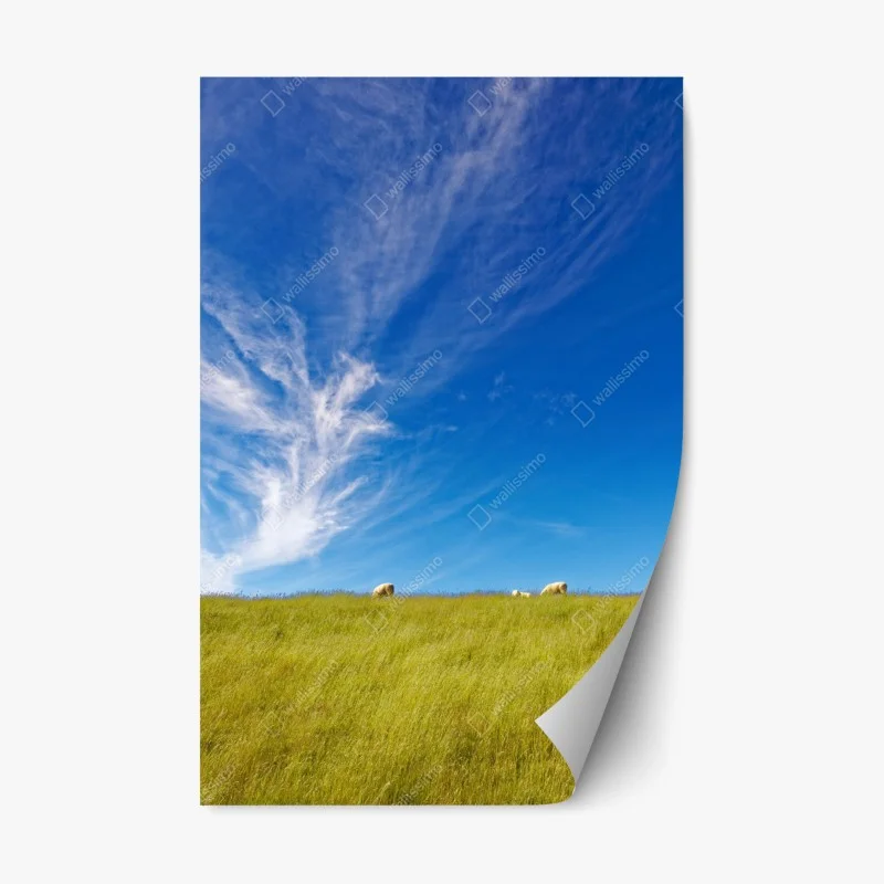Repositionable sticker serene meadow under blue sky
