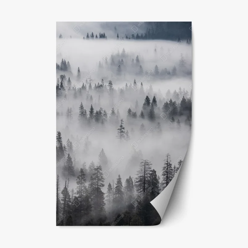Repositionable sticker mist-shrouded pine forest