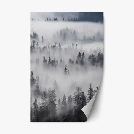 Repositionable sticker mist-shrouded pine forest • Wallissimo®