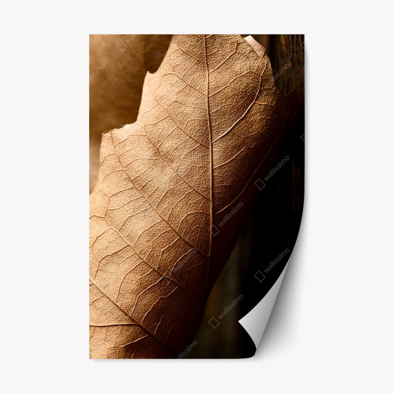 Repositionable sticker textured dried leaf close-up