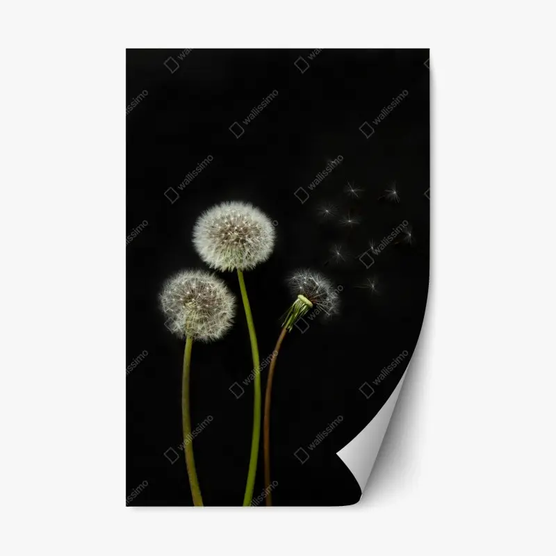 Repositionable sticker • Wallissimo®