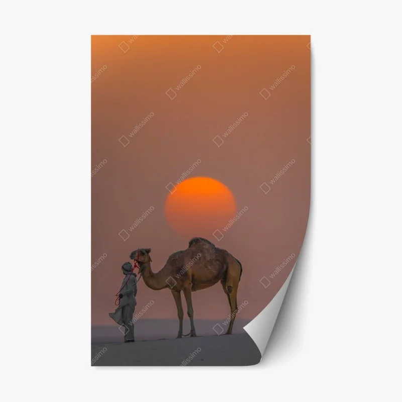 Repositionable sticker desert sunset with camel silhouette