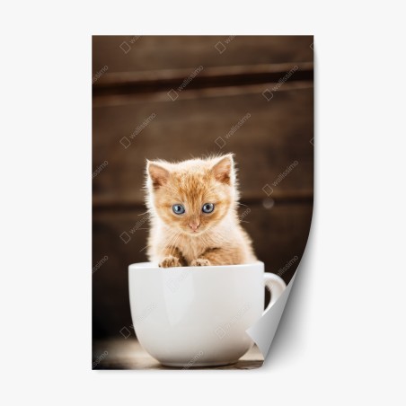 Repositionable sticker ginger kitten in a teacup • Wallissimo®
