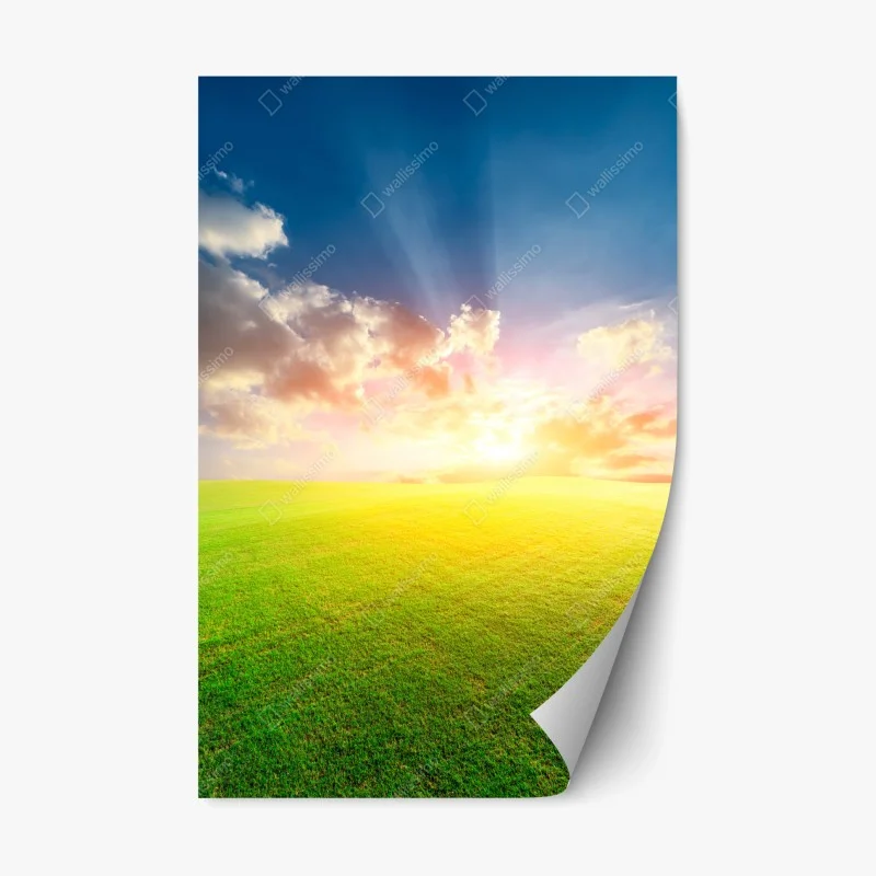 Repositionable sticker sunlit meadow at sunset