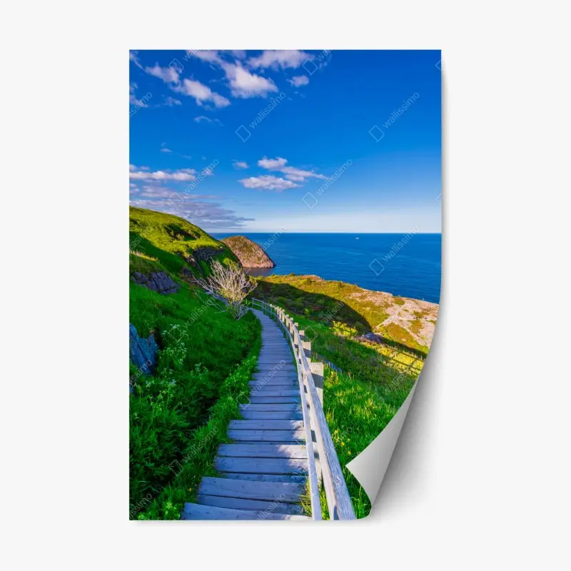 Repositionable sticker coastal boardwalk overlooking blue ocean