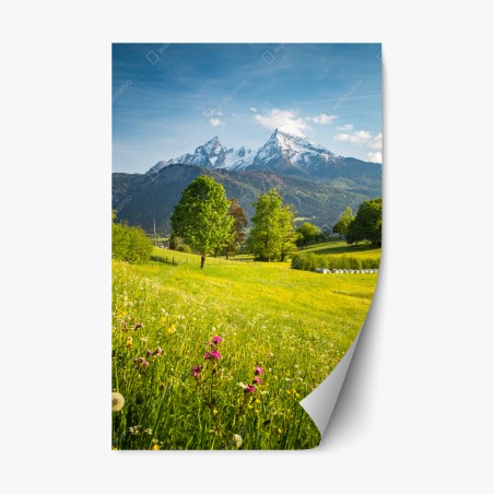 Repositionable sticker alpine spring meadow beneath snowcapped peaks • Wallissimo®