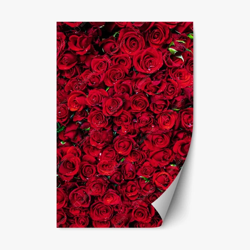 Repositionable sticker lush red roses close-up