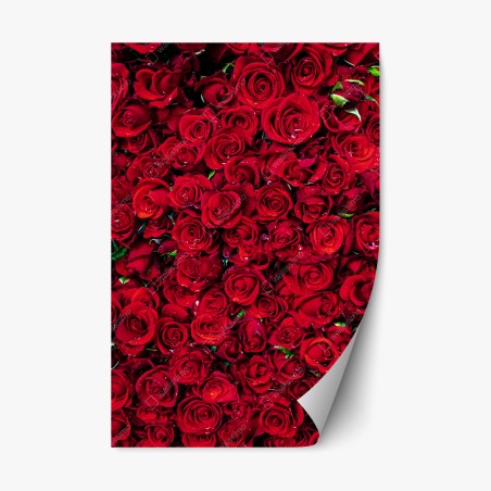 Repositionable sticker lush red roses close-up • Wallissimo®