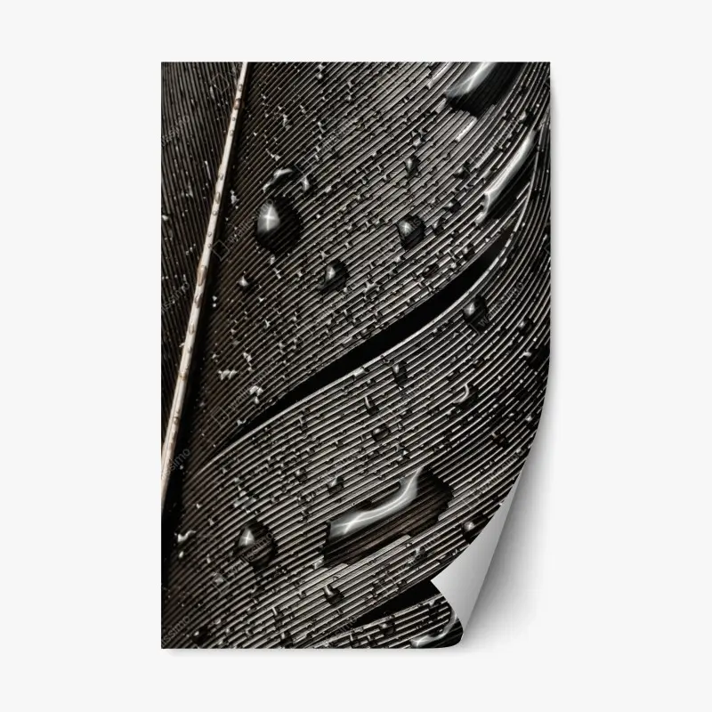 Repositionable sticker gray concrete texture • Wallissimo®
