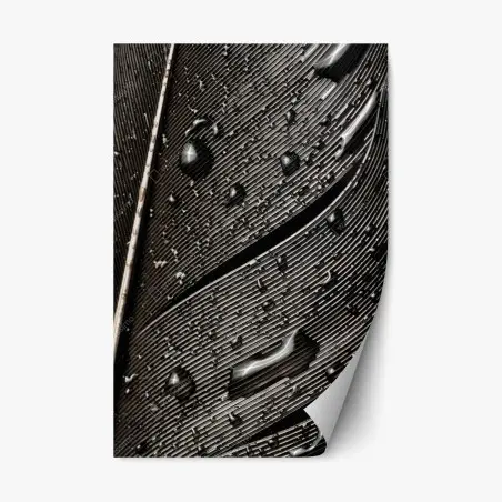 Repositionable sticker monochrome feather with water droplets • Wallissimo®