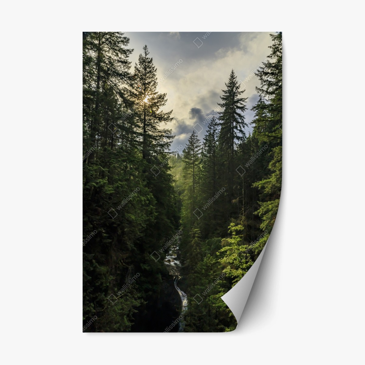 Repositionable sticker misty evergreen forest waterfall • Wallissimo® Repositionable sticker misty evergreen forest waterfall • Wallissimo®