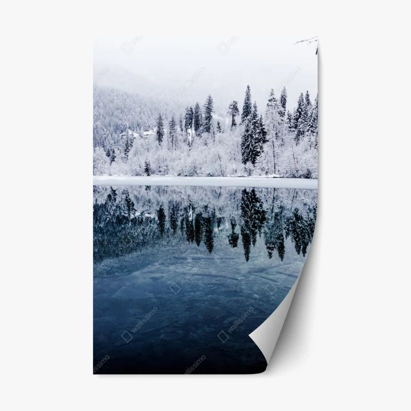 Repositionable sticker • Wallissimo®