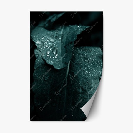 Repositionable sticker teal dewdrops on leaves • Wallissimo®