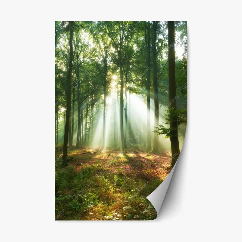 Repositionable sticker monochrome botanical leaf composition • Wallissimo®