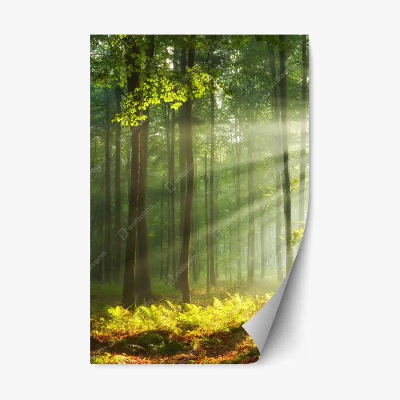 Repositionable sticker sunset at Central Mosque, Songkhla • Wallissimo®