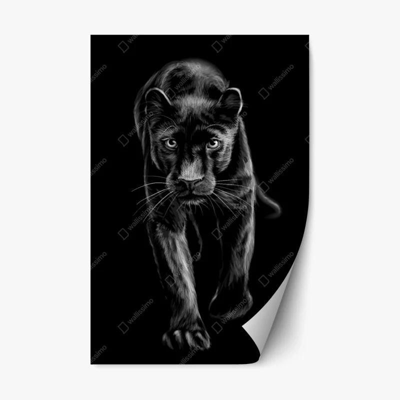 Repositionable sticker striding black panther illustration