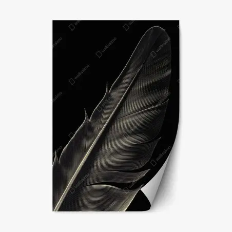 Repositionable sticker delicate feather study in monochrome • Wallissimo®