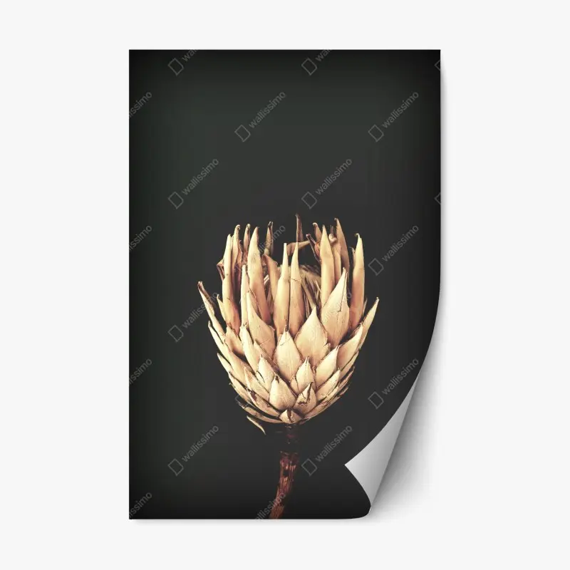 Repositionable sticker • Wallissimo®