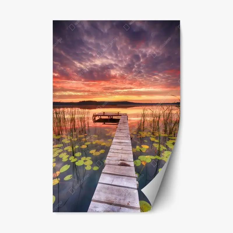 Repositionable sticker • Wallissimo®