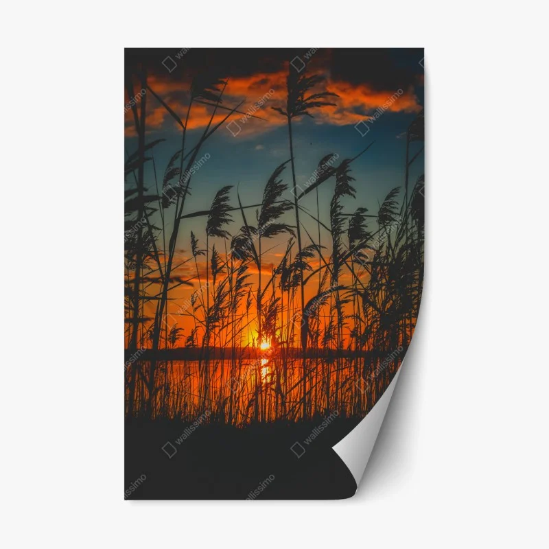 Repositionable sticker sunset over lake with silhouetted reeds