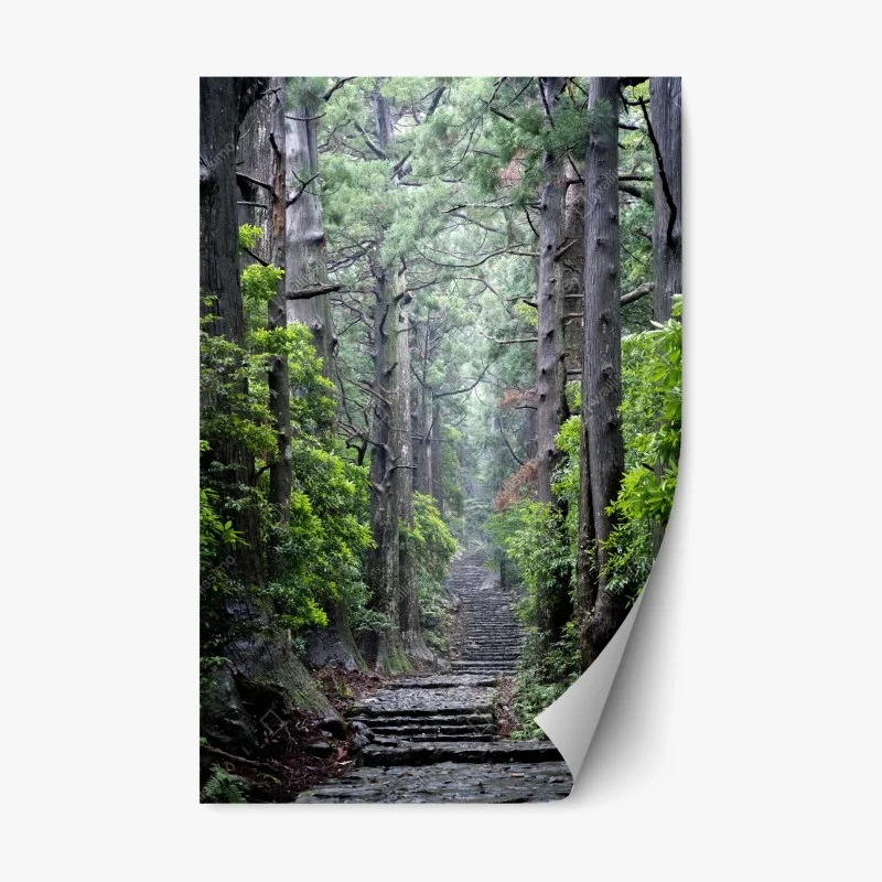 Repositionable sticker misty forest path through ancient trees