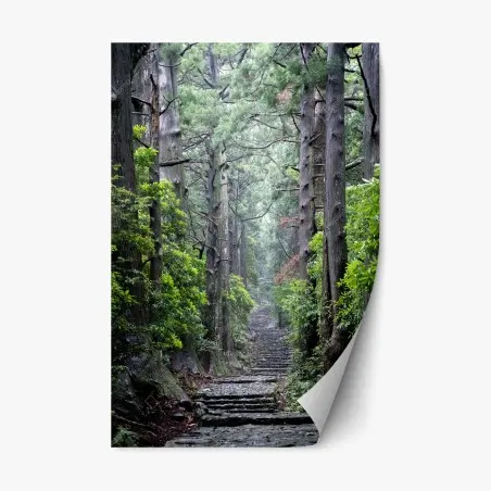 Repositionable sticker misty forest path through ancient trees • Wallissimo®
