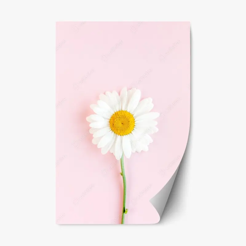 Repositionable sticker tropical palm on white sand beach • Wallissimo®