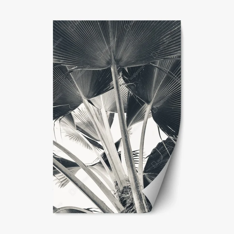 Repositionable sticker tropical banana leaf composition
