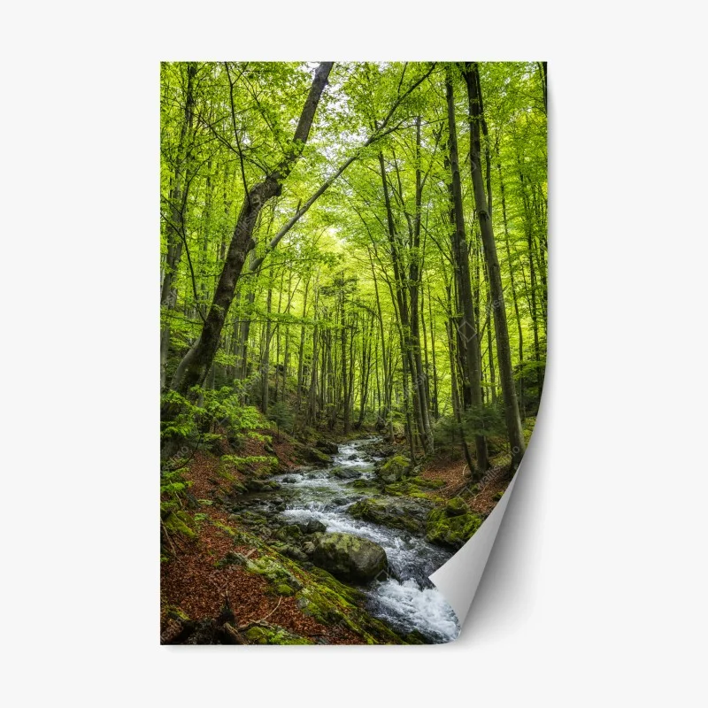 Repositionable sticker serene green forest stream