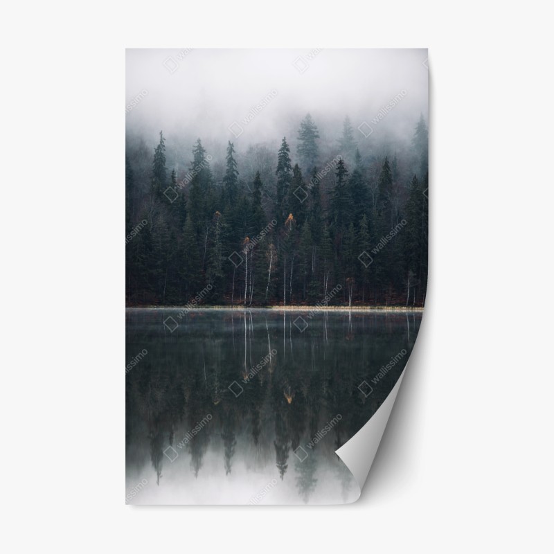 Repositionable sticker misty forest reflection