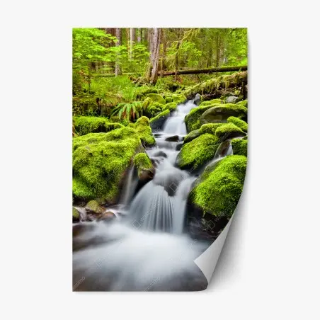Repositionable sticker mossy creek at Sol Duc Falls • Wallissimo®