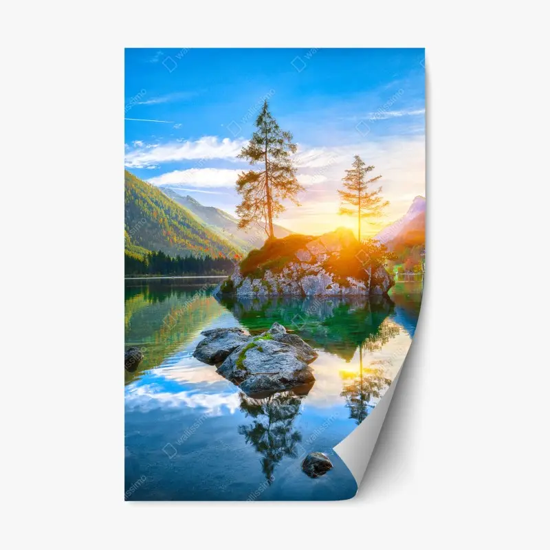 Repositionable sticker • Wallissimo®