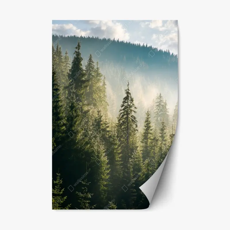 Repositionable sticker eucalyptus watercolor leaves on dark background • Wallissimo®