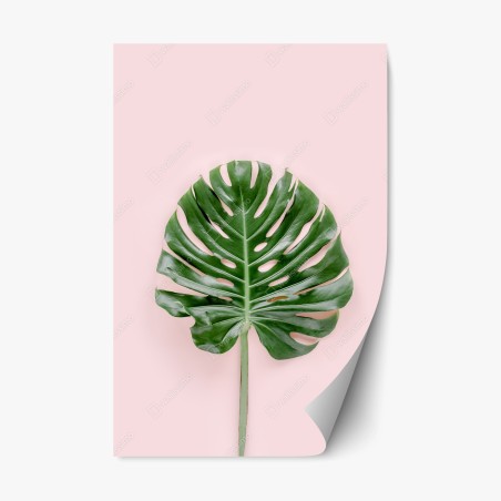 Repositionable sticker monstera leaf on pastel pink background • Wallissimo®