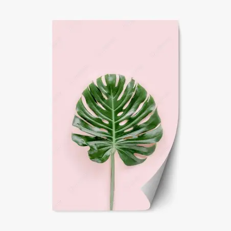 Repositionable sticker monstera leaf on pastel pink background • Wallissimo®