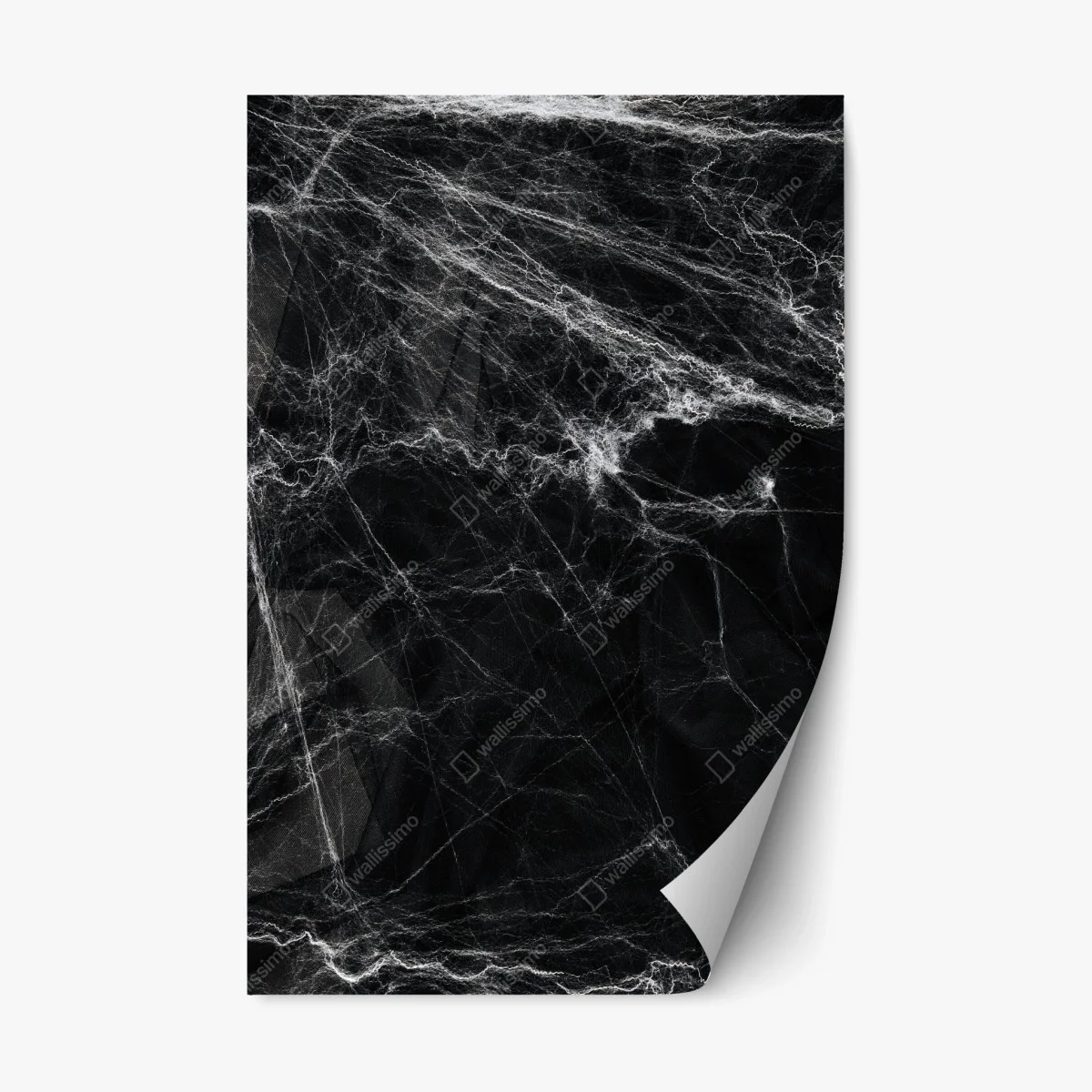 Repositionable sticker eerie cobweb on black background • Wallissimo® Repositionable sticker eerie cobweb on black background • Wallissimo®