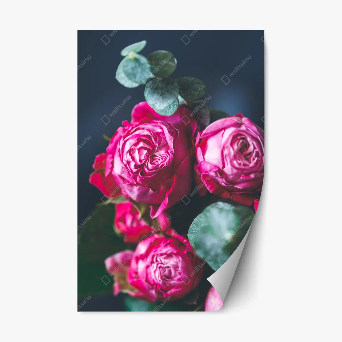 Repositionable sticker pink rose bouquet macro print • Wallissimo® Repositionable sticker pink rose bouquet macro print • Wallissimo®