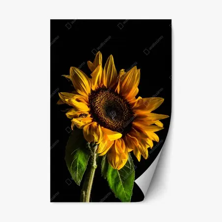 Repositionable sticker golden sunflower close-up • Wallissimo®