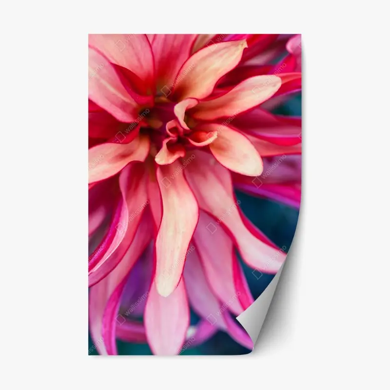 Repositionable sticker elegant red flamingo on black background • Wallissimo®