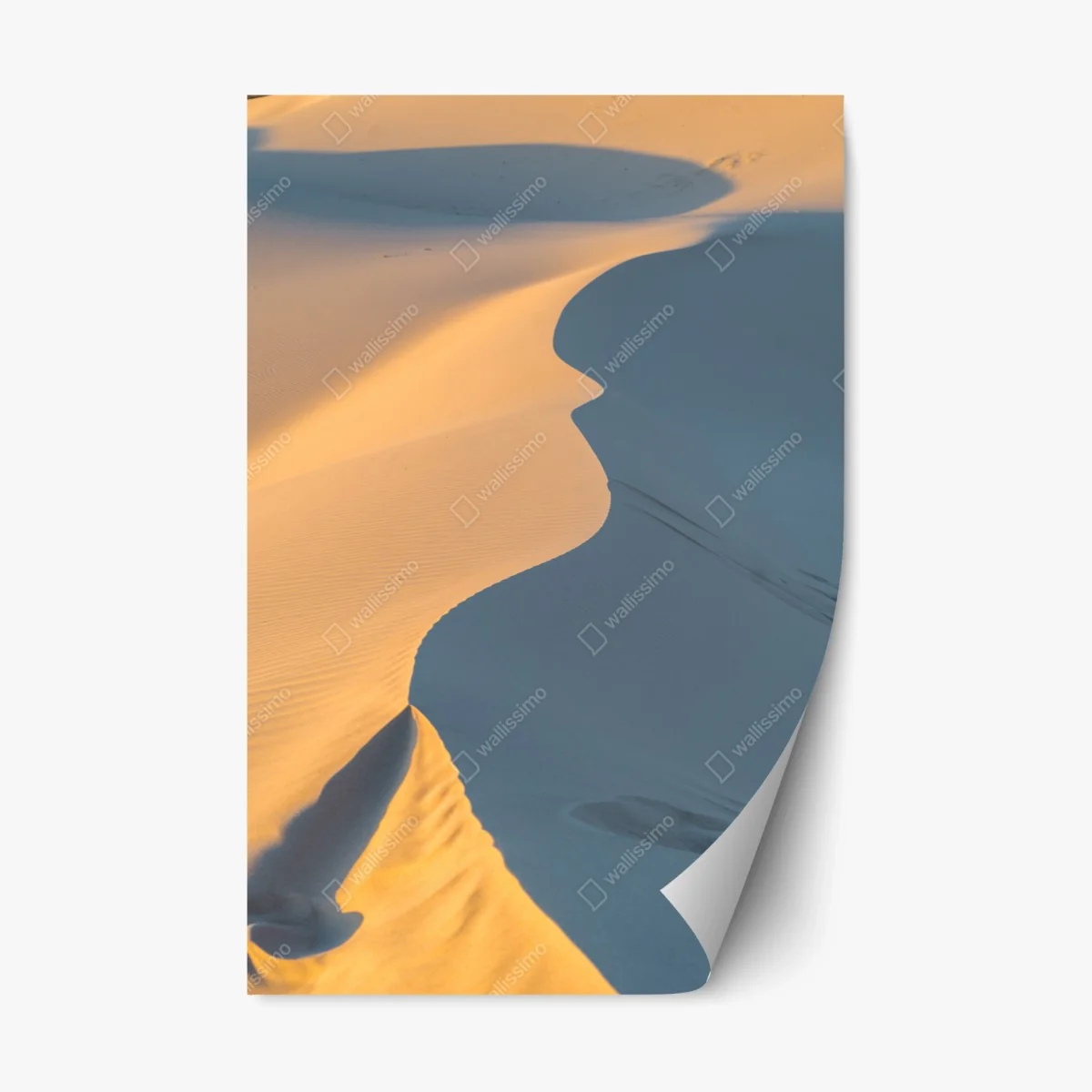 Repositionable sticker golden dune curves • Wallissimo® Repositionable sticker golden dune curves • Wallissimo®
