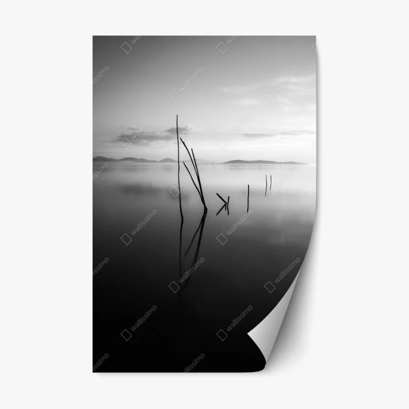 Repositionable sticker tranquil monochrome lake with reflections