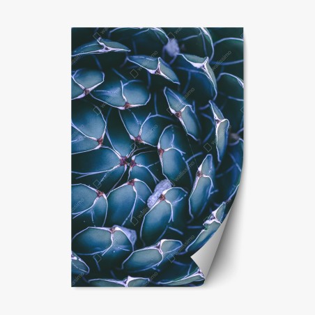 Repositionable sticker geometric turquoise succulent close-up • Wallissimo®