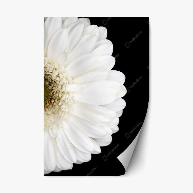 Repositionable sticker • Wallissimo®