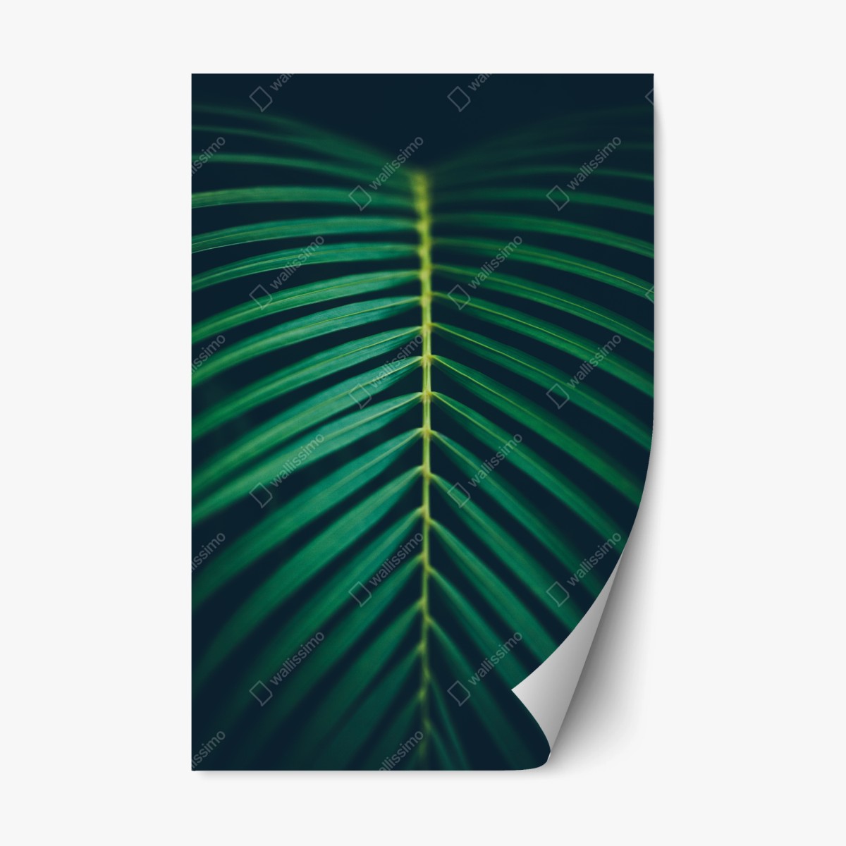 Repositionable sticker vertical palm leaf close-up • Wallissimo® Repositionable sticker vertical palm leaf close-up • Wallissimo®