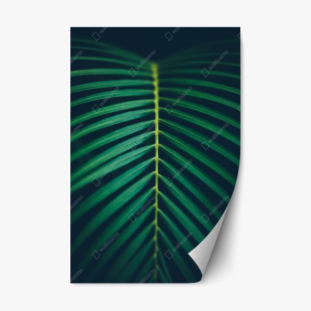 Repositionable sticker vertical palm leaf close-up • Wallissimo®
