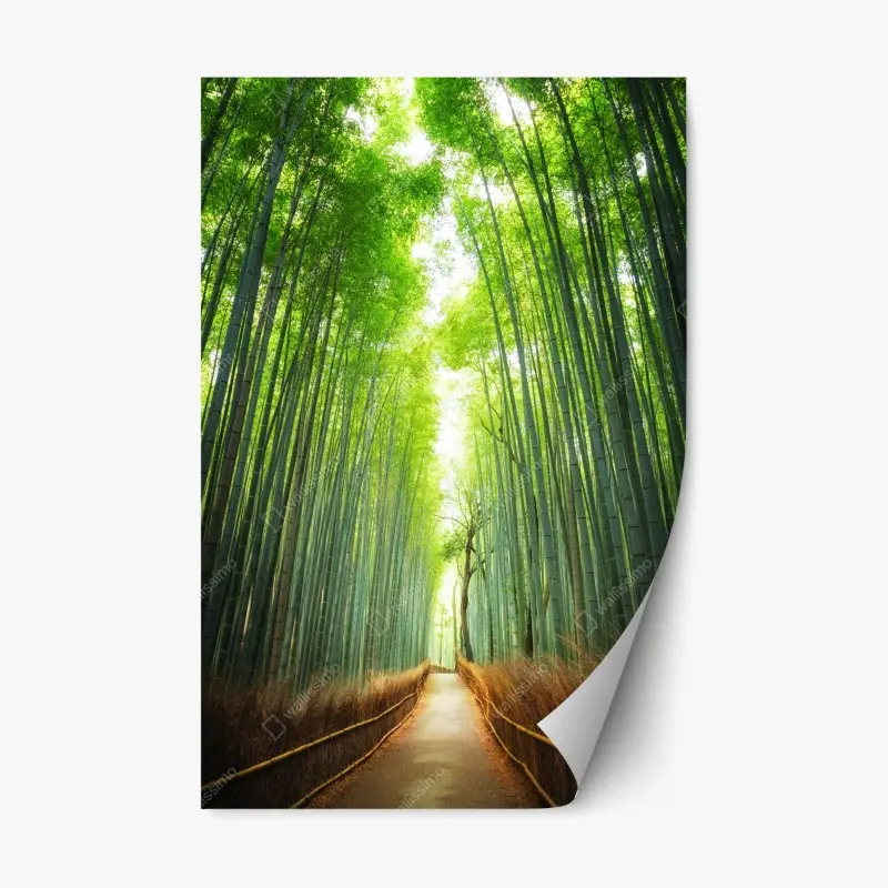 Repositionable sticker pathway through Arashiyama bamboo grove